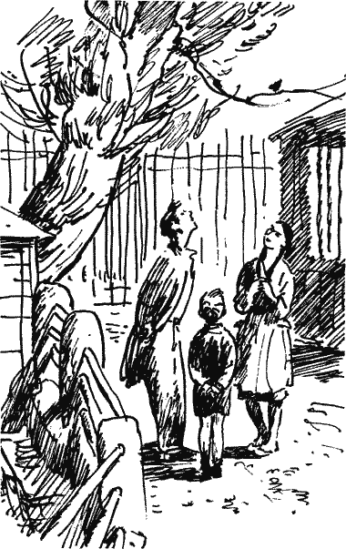 Я хочу видеть укротителя Novos144.png