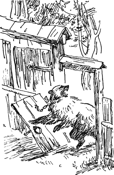 Митрохин Novos152.png