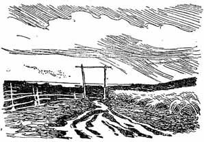 Родные поэты (сборник) _7.jpg_2