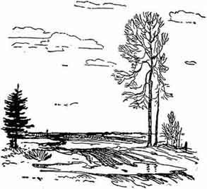 Родные поэты (сборник) _1.jpg_16