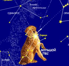 Собачьи истории (выпуски 1-28) i_001.jpg