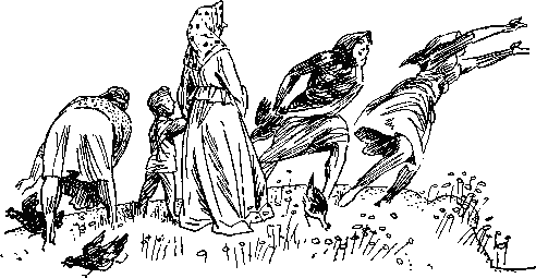 Как куры научились плавать _3.png