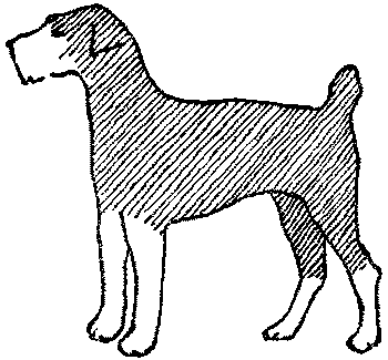 Любитель-собаковод i_022.png