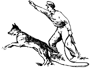 Любитель-собаковод i_026.png