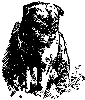 Любитель-собаковод i_032.png