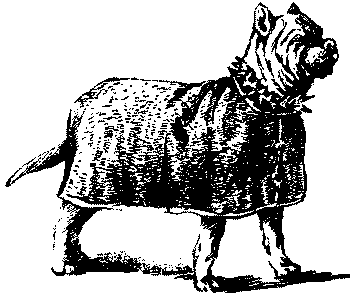 Любитель-собаковод i_005.png