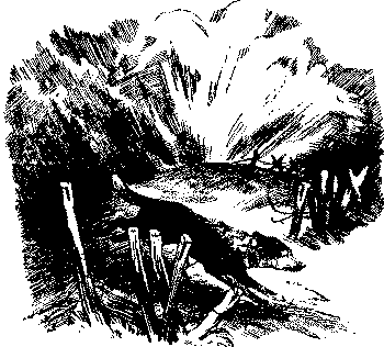 Любитель-собаковод i_007.png