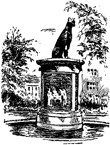 Любитель-собаковод i_033.png