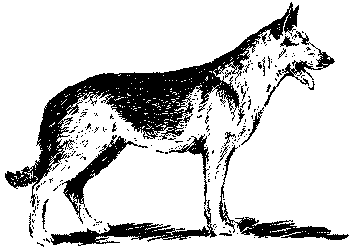Любитель-собаковод i_010.png