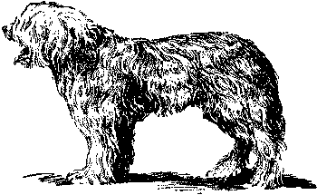 Любитель-собаковод i_012.png