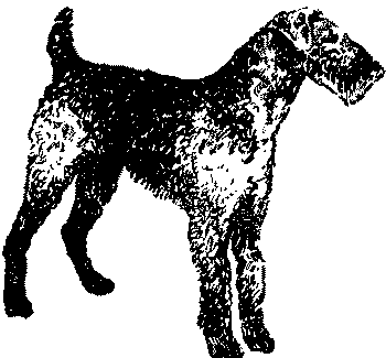 Любитель-собаковод i_014.png