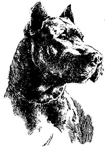 Любитель-собаковод i_015.png