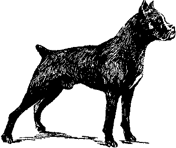 Любитель-собаковод i_017.png