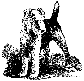 Любитель-собаковод i_018.png