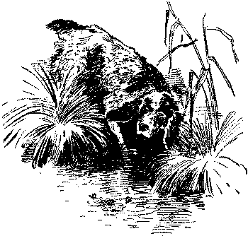 Любитель-собаковод i_019.png