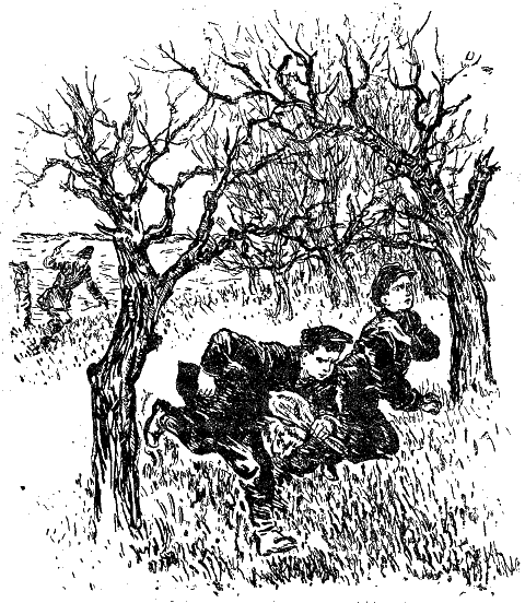 Новый сорт i_018.png