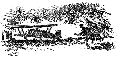 Новый сорт i_024.png