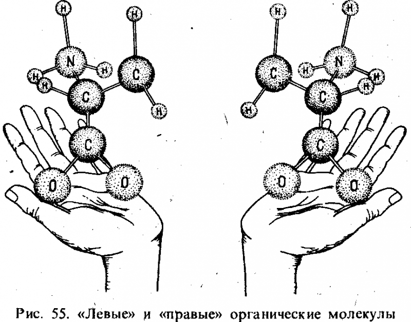Вселенная, жизнь, разум i_049.png
