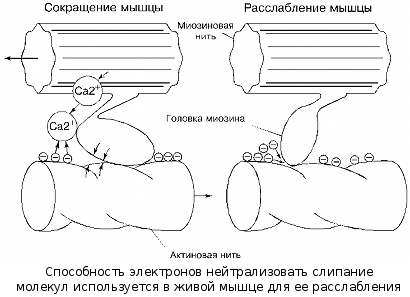 Эфир. Русская теория. ant5-163.png