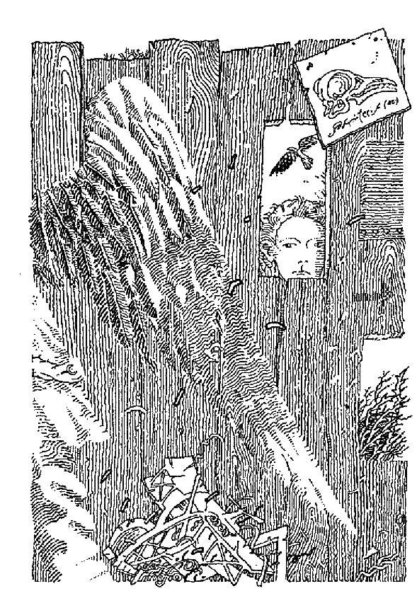 Скеллиг i_003.png