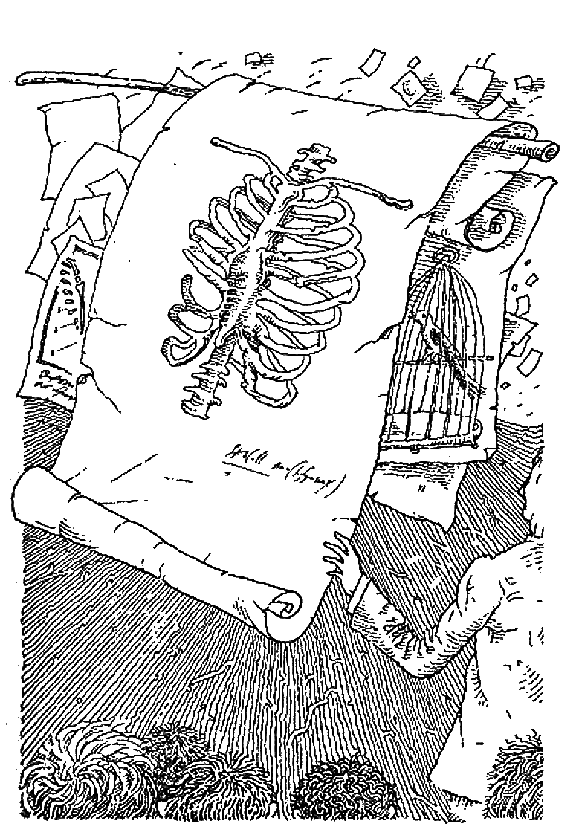 Скеллиг i_007.png