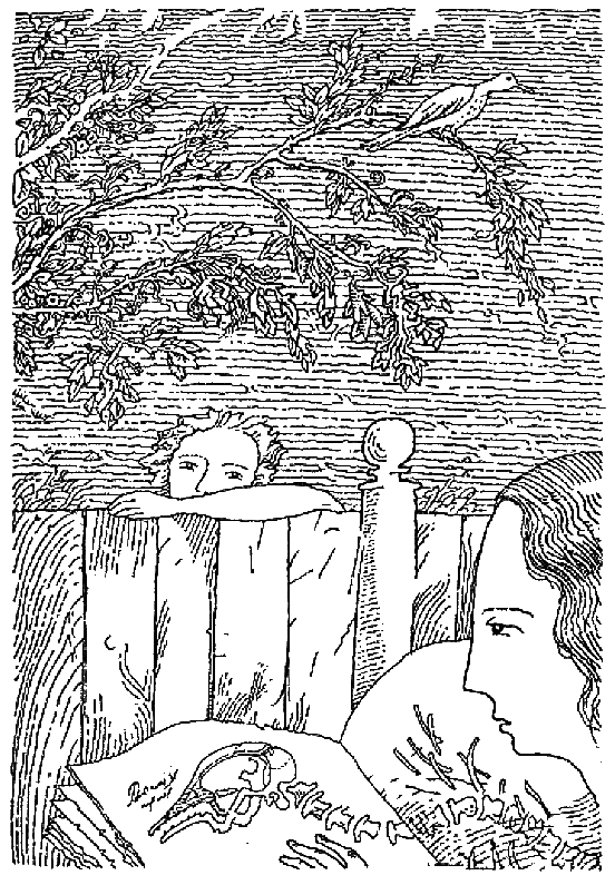 Скеллиг i_005.png