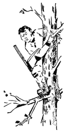Река твоих отцов i_015.png