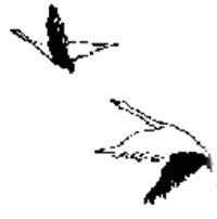 Река твоих отцов i_023.png