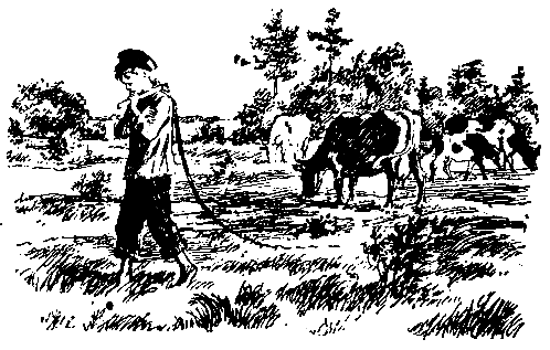 Новенькая (сборник) pic_15.png