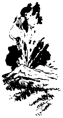 Альтаир (сборник) pic_36.png