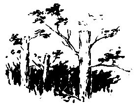 Альтаир (сборник) pic_48.png