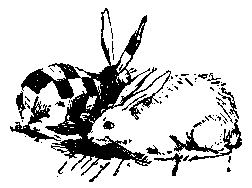 Альтаир (сборник) pic_52.png