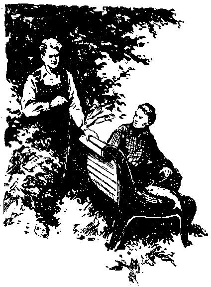 Альтаир (сборник) pic_13.png