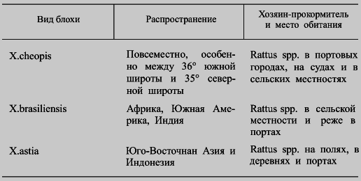 Чума i_017.png