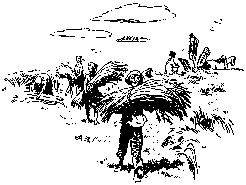 Когда я был вожатым (с илл.) pic_22.png