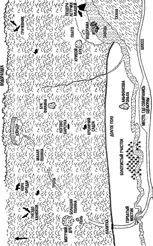 Норки! map_crpd.png