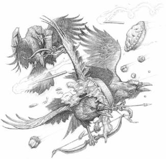 Swordbird pic_25.jpg