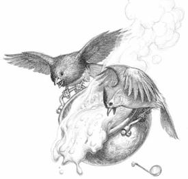 Swordbird pic_26.jpg