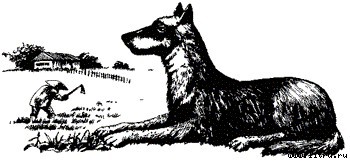 Счастье doc2fb_image_03000001.jpg