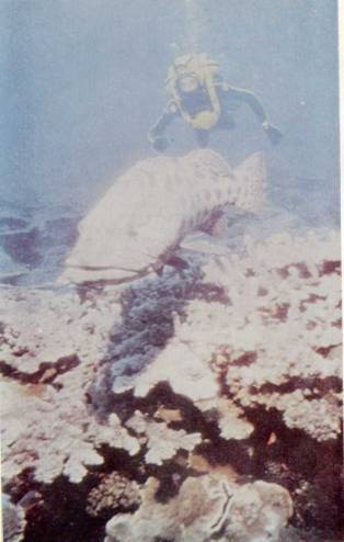 Живое море i_025.jpg
