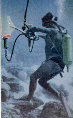 Живое море i_040.jpg