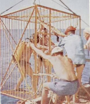 Живое море i_041.jpg