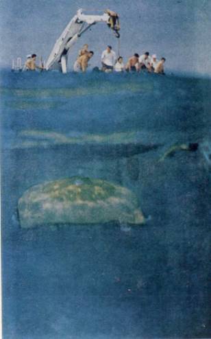 Живое море i_044.jpg