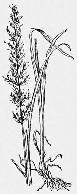 Большая Советская Энциклопедия (РА) i009-001-206754509.jpg