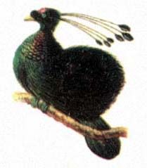 Большая Советская Энциклопедия (РА) i009-001-209726238.jpg