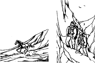 Фотосъемка. Универсальный самоучитель _246_2.png