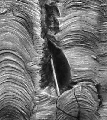 Большая Советская Энциклопедия (РИ) i009-001-214305936.jpg