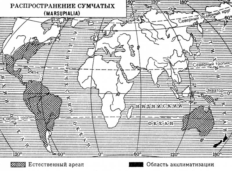 Большая Советская Энциклопедия (СУ) i010-001-284409457.jpg