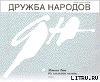 Лужа