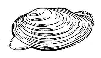 Большая Советская Энциклопедия (БЕ) i010-001-281167872.jpg